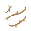 Thorns