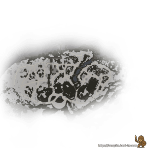 Thermopylae-mini