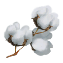 cloud-cotton