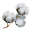 cloud-cotton
